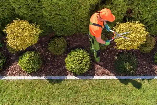 اصول محوطه سازی