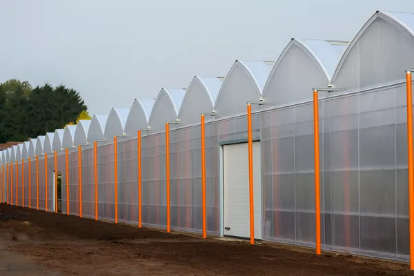 بررسی انواع پوشش گلخانه ای