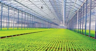 بررسی انواع پوشش گلخانه ای