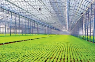 بررسی انواع پوشش گلخانه ای