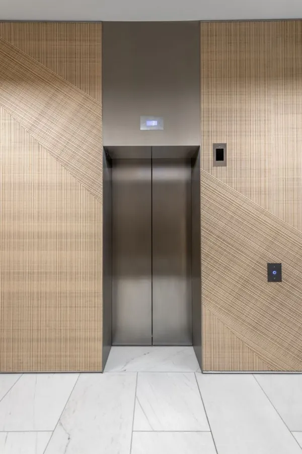 درب آسانسور رسیس