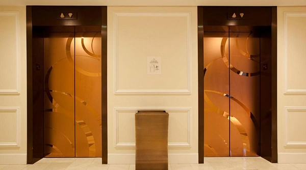 درب آسانسور رسیس