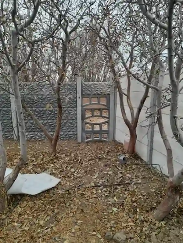 ابلاغ لغو ممنوعیت مطلق صدور مجوز فنس کشی و دیوارکشی اراضی زراعی به روسای جهاد کشاورزی سراسر کشور