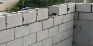 دیوار چینی در هوای سرد