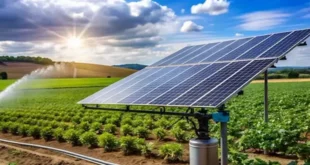 پنل خورشیدی برای زمین کشاورزی