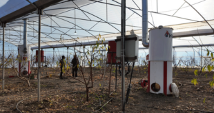 بخاری در گلخانه