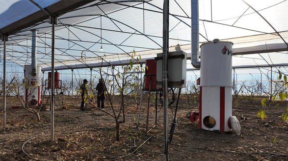 بخاری در گلخانه