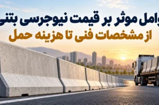 عوامل موثر بر قیمت نیوجرسی