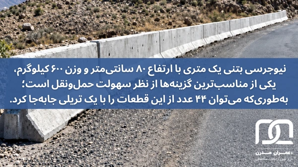 عوامل موثر بر قیمت نیوجرسی